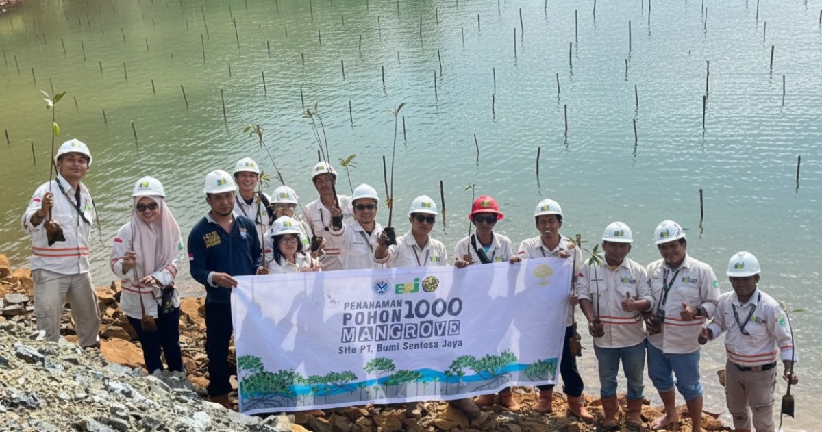Sejumlah karyawan PT Bumi Sentosa Jaya (BSJ) bersama perangkat desa dan masyarakat setempat melakukan penanaman 1.000 bibit mangrove di pesisir Desa Boedingi, Kecamatan Lasolo Kepulauan, Konawe Utara, Sabtu (15/11/2025). Foto: Istimewa
