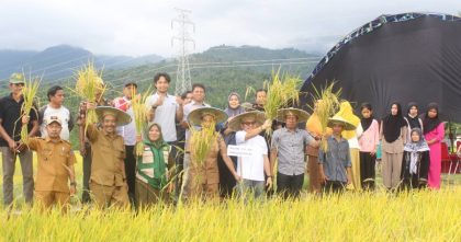 Jaelani DPR RI pesta panen padi Iwoimendaa Kolaka petani Sulawesi Tenggara