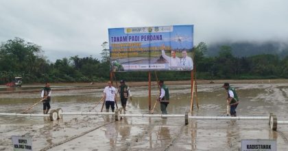 Tanam padi perdana program PM-AAS di Kolaka Timur