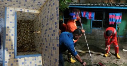 Damkarmat Kendari evakuasi ular piton 4 meter dari bak kamar mandi warga Tipulu